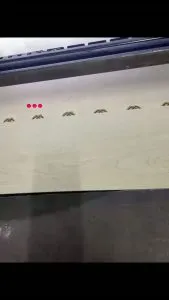 849807847 1138575922456451 3451802336987491123 n