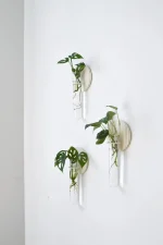 Dekoratif Bohem 3 Adet Duvar Çiçekliği Cam Tüplü - Görsel 3