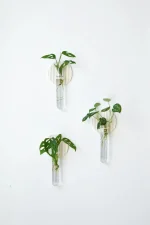 Dekoratif Bohem 3 Adet Duvar Çiçekliği Cam Tüplü - Görsel 4