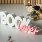 Book Lover Kitaplık Süsü, Dekoratif Figür Dekoratif Obje Biblo Masaüstü Süs Ev Dekorasyonu Hediyelik